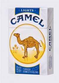 Camel
