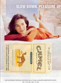 Camel